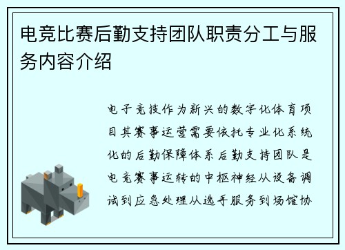 电竞比赛后勤支持团队职责分工与服务内容介绍