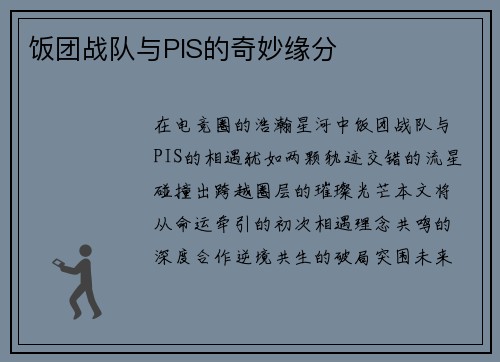 饭团战队与PIS的奇妙缘分
